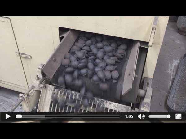 �����FƤ����ҕ�l